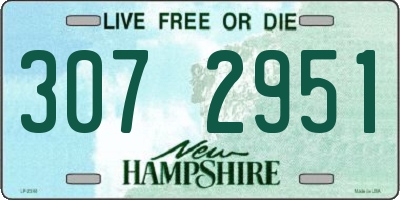 NH license plate 3072951