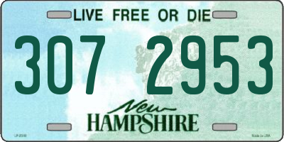NH license plate 3072953