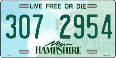 NH license plate 3072954