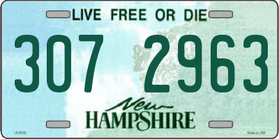NH license plate 3072963