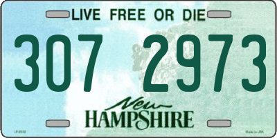 NH license plate 3072973