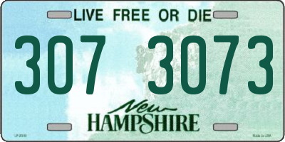 NH license plate 3073073