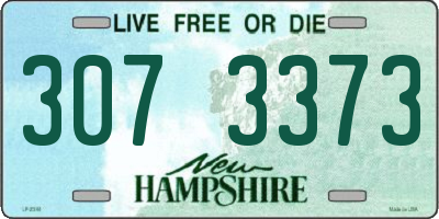 NH license plate 3073373