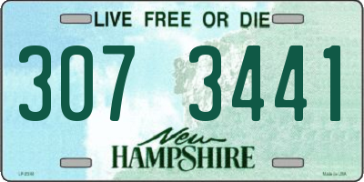 NH license plate 3073441