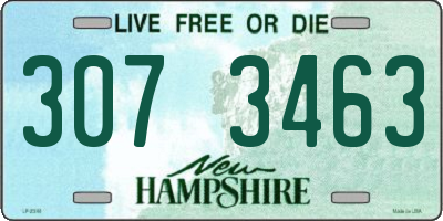 NH license plate 3073463