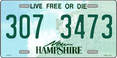 NH license plate 3073473