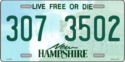 NH license plate 3073502