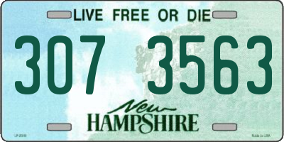 NH license plate 3073563