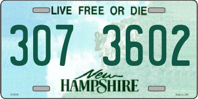 NH license plate 3073602