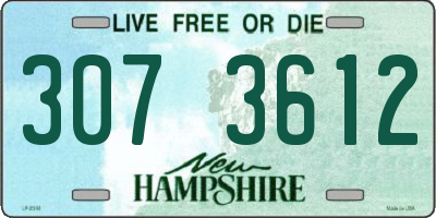 NH license plate 3073612