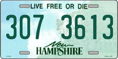 NH license plate 3073613