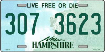 NH license plate 3073623