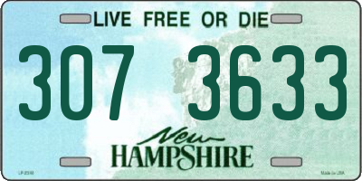 NH license plate 3073633