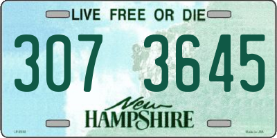 NH license plate 3073645