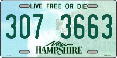 NH license plate 3073663