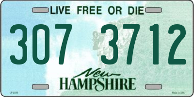 NH license plate 3073712