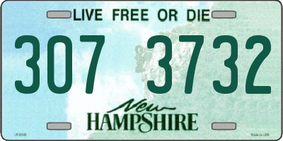 NH license plate 3073732