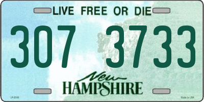 NH license plate 3073733