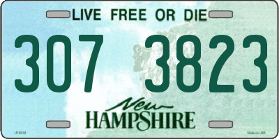 NH license plate 3073823