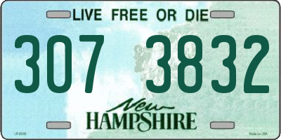 NH license plate 3073832