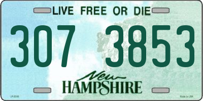 NH license plate 3073853