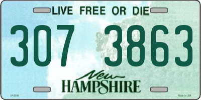 NH license plate 3073863
