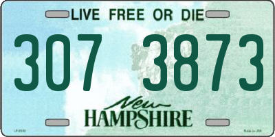 NH license plate 3073873