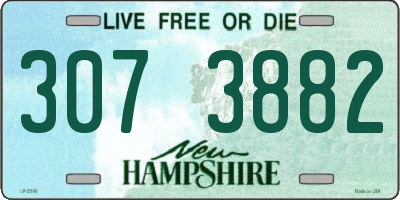 NH license plate 3073882