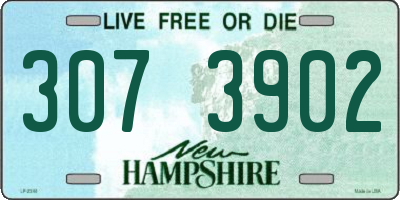 NH license plate 3073902