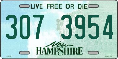 NH license plate 3073954