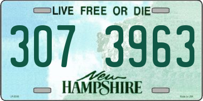 NH license plate 3073963