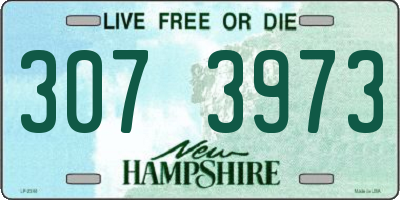 NH license plate 3073973