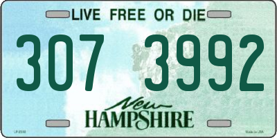 NH license plate 3073992