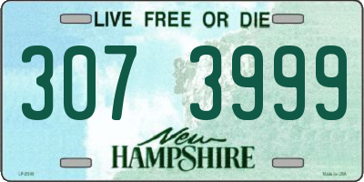 NH license plate 3073999