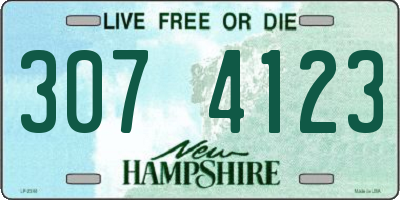 NH license plate 3074123