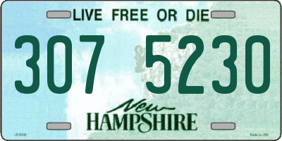 NH license plate 3075230