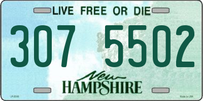NH license plate 3075502