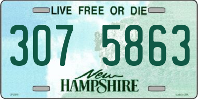 NH license plate 3075863