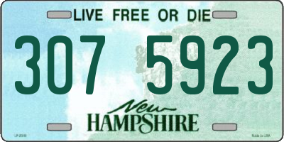 NH license plate 3075923
