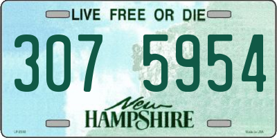 NH license plate 3075954