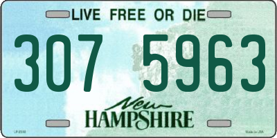 NH license plate 3075963