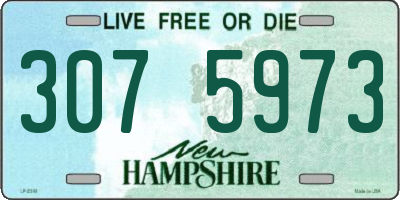 NH license plate 3075973