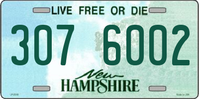 NH license plate 3076002