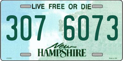 NH license plate 3076073