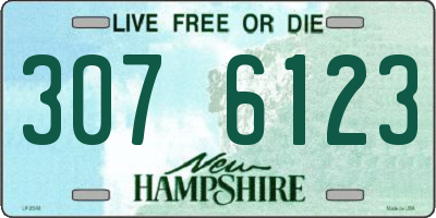 NH license plate 3076123