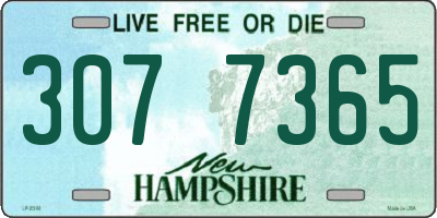 NH license plate 3077365