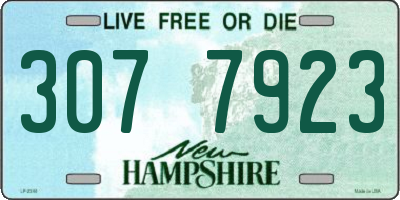 NH license plate 3077923
