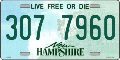 NH license plate 3077960
