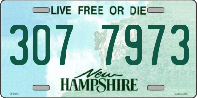 NH license plate 3077973