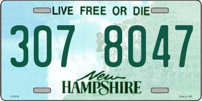 NH license plate 3078047